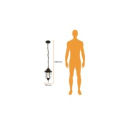 Lámpara de Techo Colgante tipo Farol para Exterior base E27 26W Negro Tecnolite