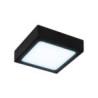 Plafon LED Luz fría 6W Blanco  Illux