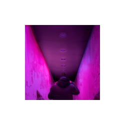 Pack de 3 Focos Fluorescentes 20W Luz Negra Base E27 Tecnolite