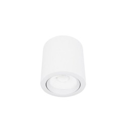 Lámpara de techo dirigible LED Luz cálida 10W Ashlesha Tecnolite