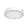Lámpara de Techo LED Tipo Plafon para interior Luz Fría 12W Tecnolite