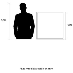 Panel LED Luz fría 40W Blanco Illux