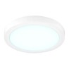 Lámpara de Techo LED Tipo Plafón para Interior Luz Fría 24W Tecnolite