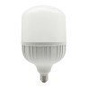 Foco LED de Alta Potencia 50W Luz fria Base E27 Tecnolite