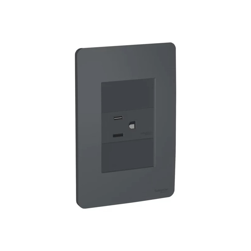 Placa armada con contacto 2P+T y 2 módulos ciegos Grafito Orión