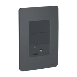 Placa armada con interruptor, contacto 2P+T y módulo ciego Grafito Orión