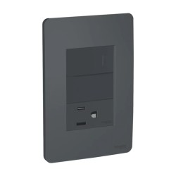 Placa armada con interruptor, contacto 2P+T y módulo ciego Grafito Orión