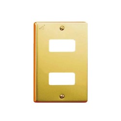 Placa de 2 módulos Aluminio Dorado c/tornillos y chasis Royer