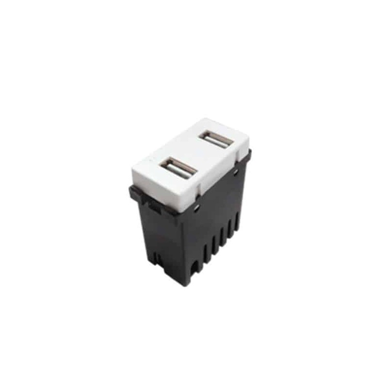 Módulo 2 puertos USB Blanco Royer 100 Eaton