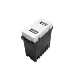 Módulo 2 puertos USB Blanco Royer 100 Eaton