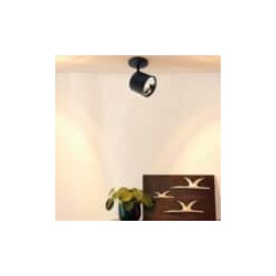 Lampara de techo dirigible AR111 Luz calida 60W Tecnolite